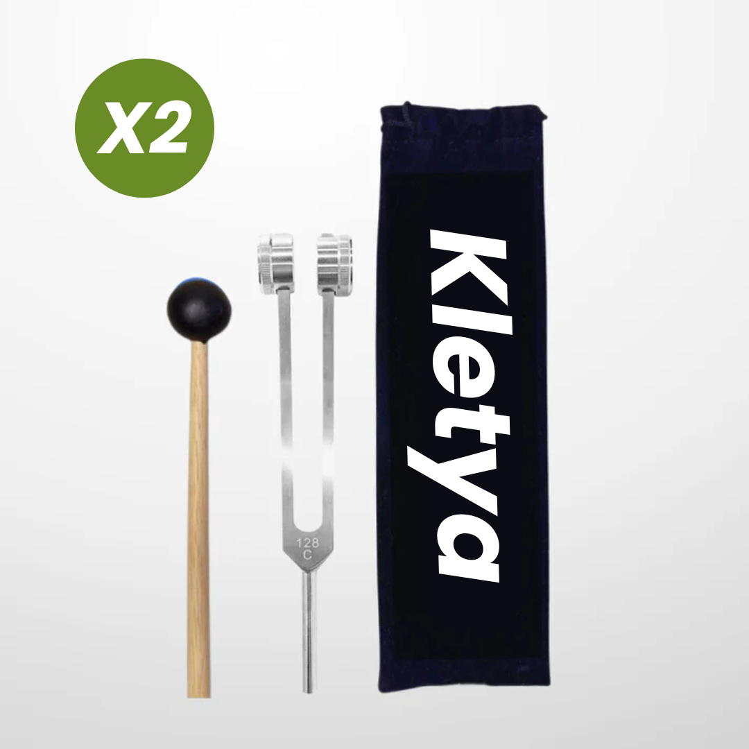 NeuroSound™ Pro: Reclaim Your Innate Harmony